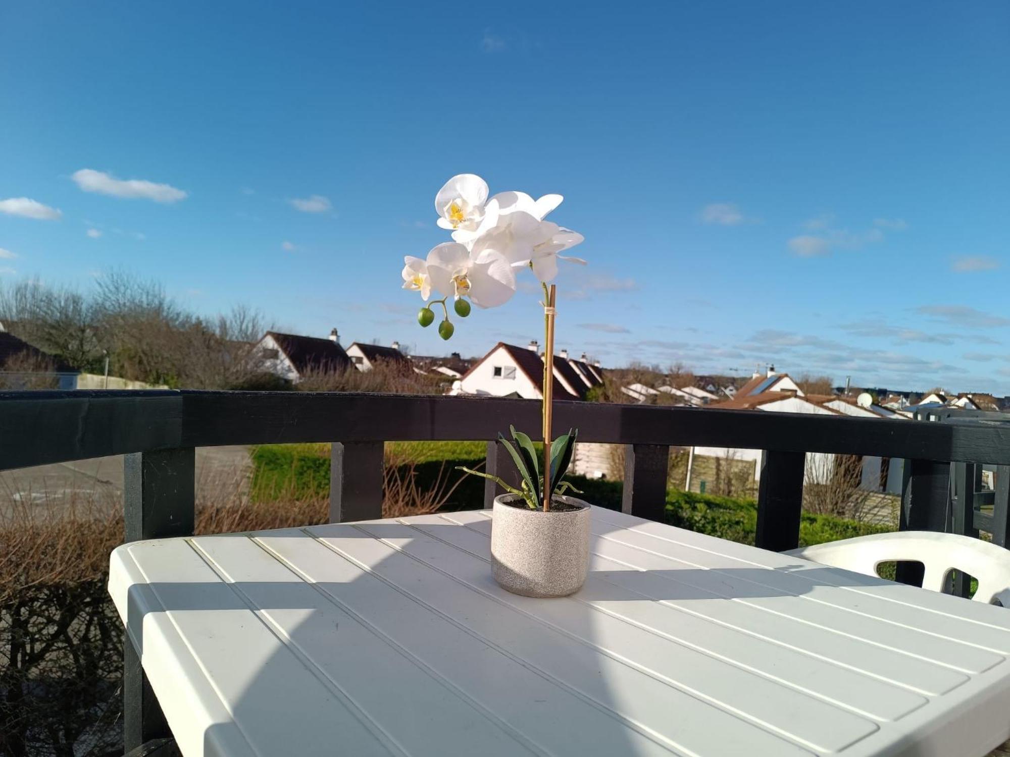 Apartment Luna By Interhome De Haan Eksteriør bilde